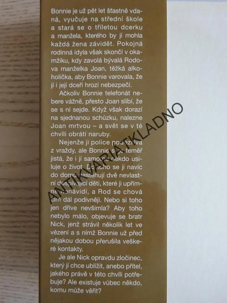 TEĎ NEPLAČ, JOY FIELDINGOVÁ, **an