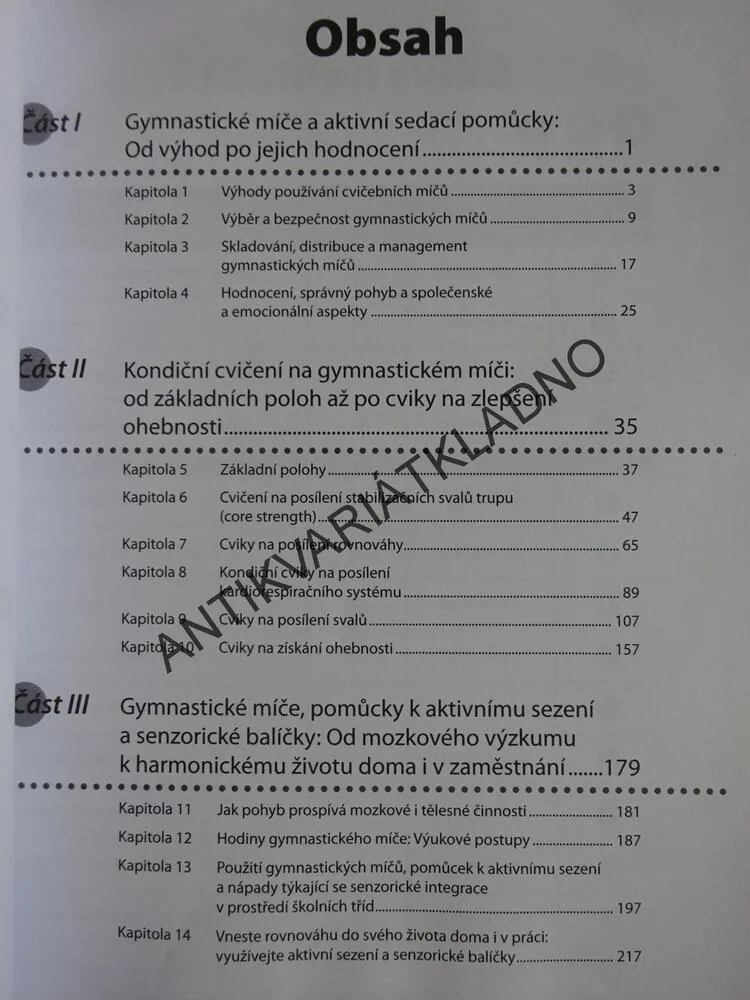 CVIČENÍ S GYMNASTICKÝM MÍČEM, ANNE SPALDINGOVÁ, LINDA E. KELLYOVÁ, **an