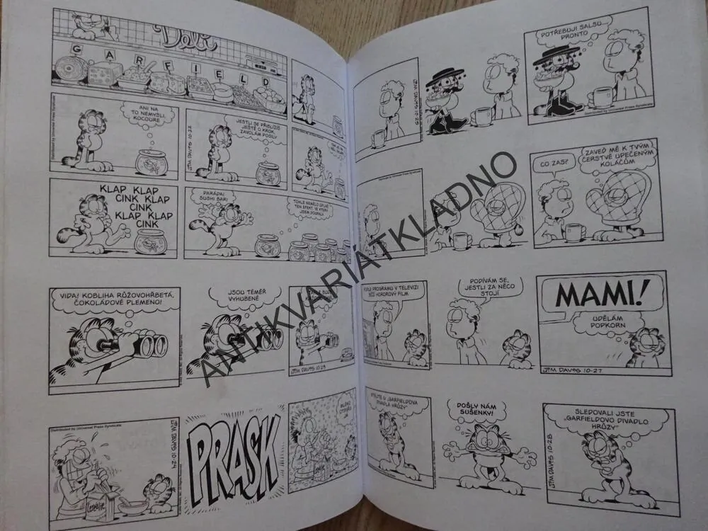 GARFIELD ZVAŽUJE MOŽNOSTI, JIM DAVIS, **an