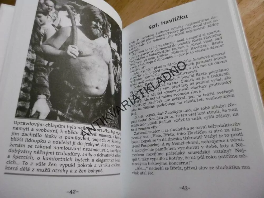 JAK JSEM POTKAL MOŘSKOU PANNU, JIŘÍ ŽÁČEK