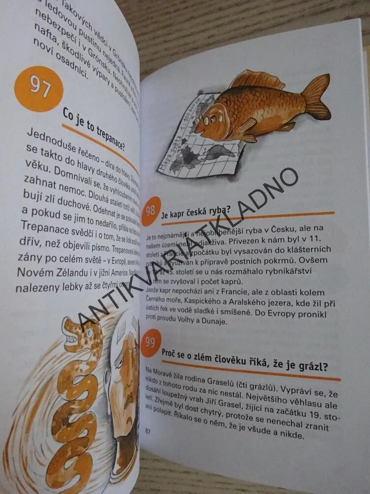 MOŘE OTAZNÍKŮ..., JIŘÍ ČERNÝ, **an
