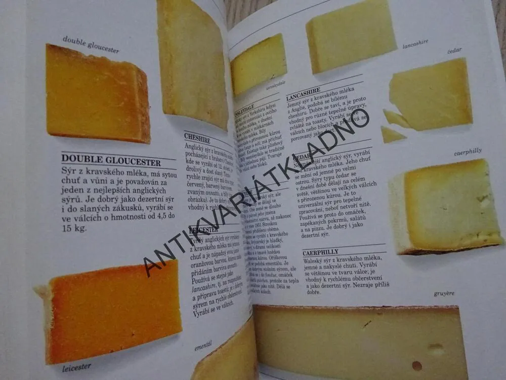 KUCHAŘSKÉ SUROVINY A PŘÍSADY, PRAKTICKÁ ILUSTROVANÁ PŘÍRUČKA, **an