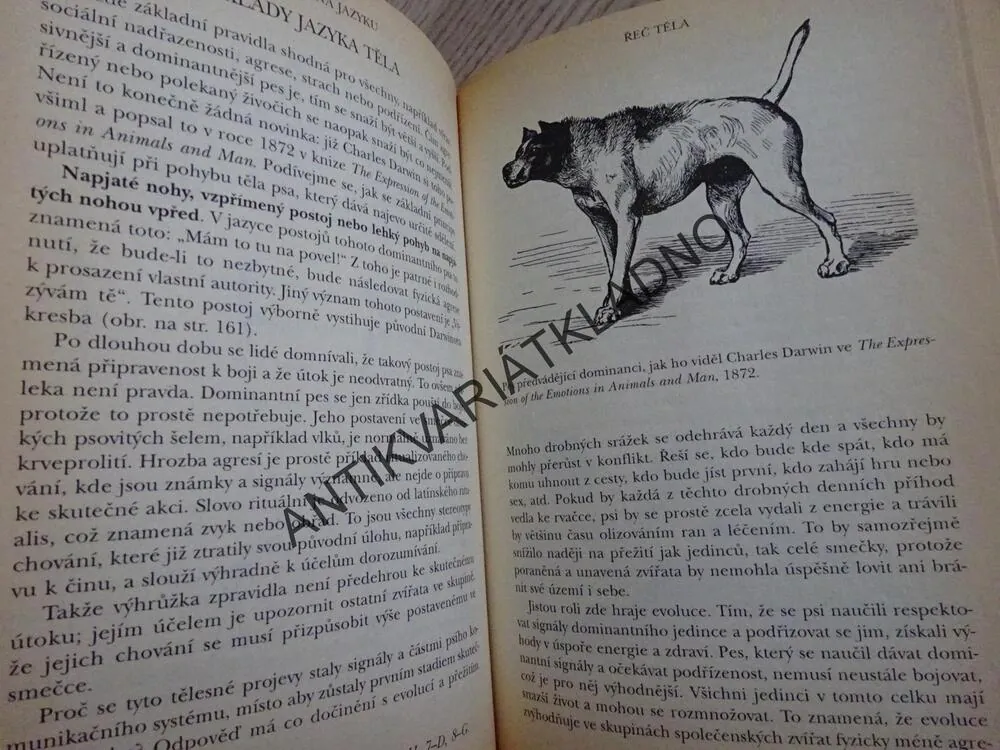 CO MÁ PES NA JAZYKU, JAK POROZUMĚT PSÍ ŘEČI, STANLEY COREN, **an
