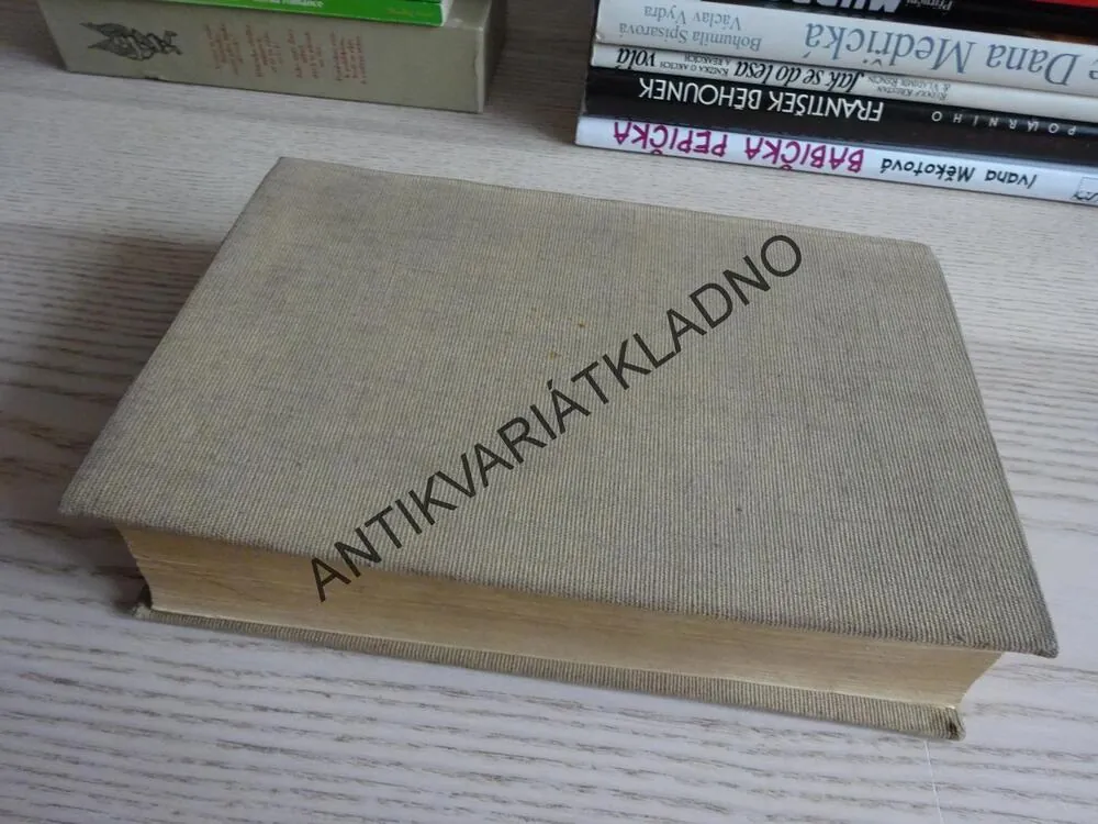 RUSKO A EVROPA, T. G. MASARYK, TGM, **an