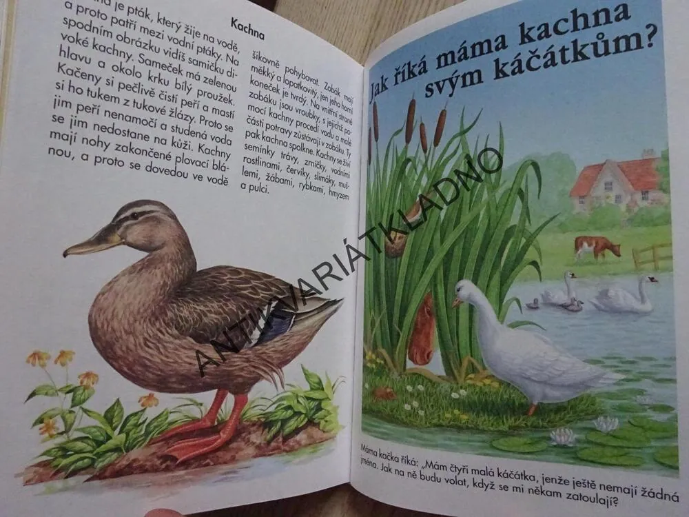 POHÁDKY ZE STATKU, **an