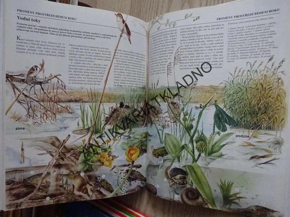 PTÁCI, ZOOLOGICKÁ ENCYKLOPEDIE, **an