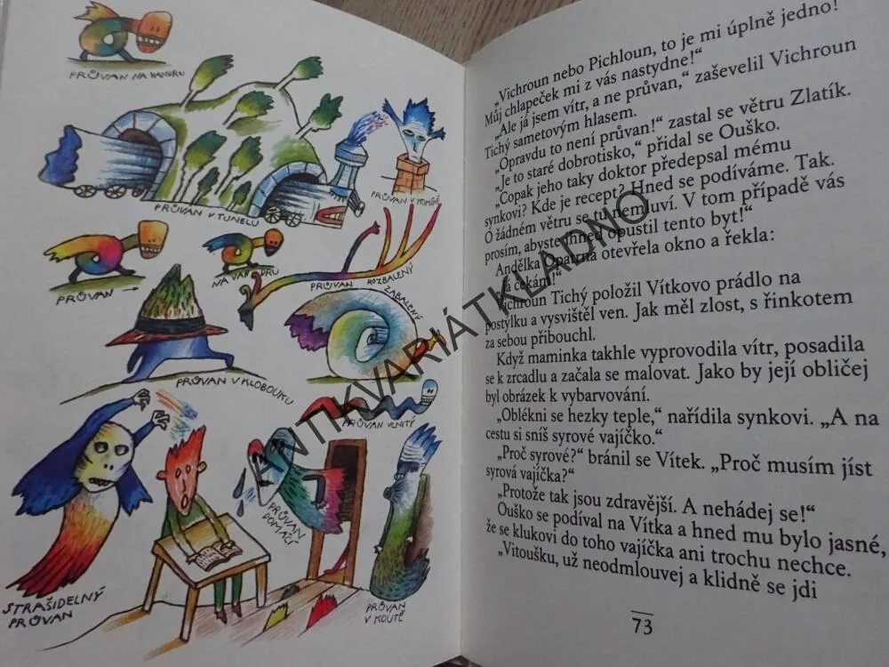 ZLATÁ PRASÁTKA Z MÁMINA ZRCÁTKA, VALERIJ MEDVĚDĚV, **an