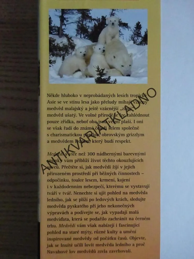 MEDVĚDI, OD MÍRUMILOVNÝCH PAND AŽ PO NEOHROŽENÉ MEDVĚDY LEDNÍ, **an