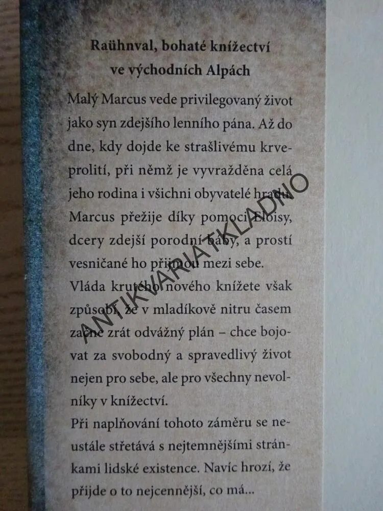 DÍTĚ, KTERÉ NAŠLO V NOCI SLUNCE, LUCA DI FULVIO, **an