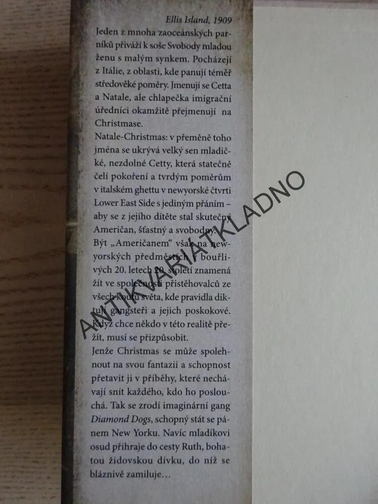 CHLAPEC, KTERÝ ROZDÁVAL SNY, LUCA DI FULVIO, **an