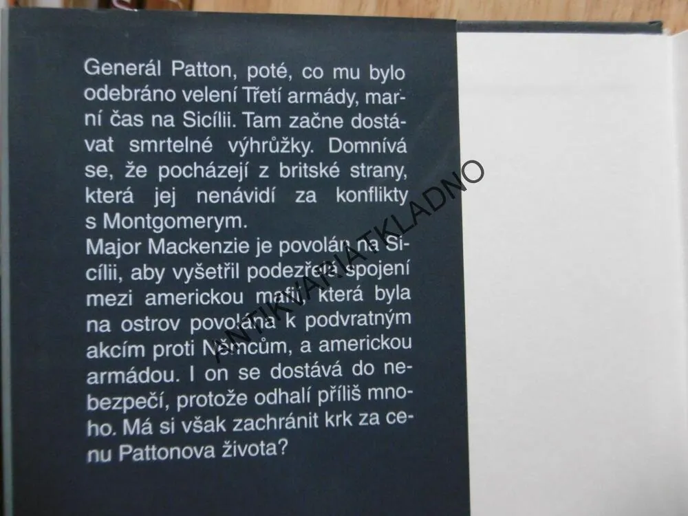 PATTON V NEBEZPEČÍ, LEO KESSLER