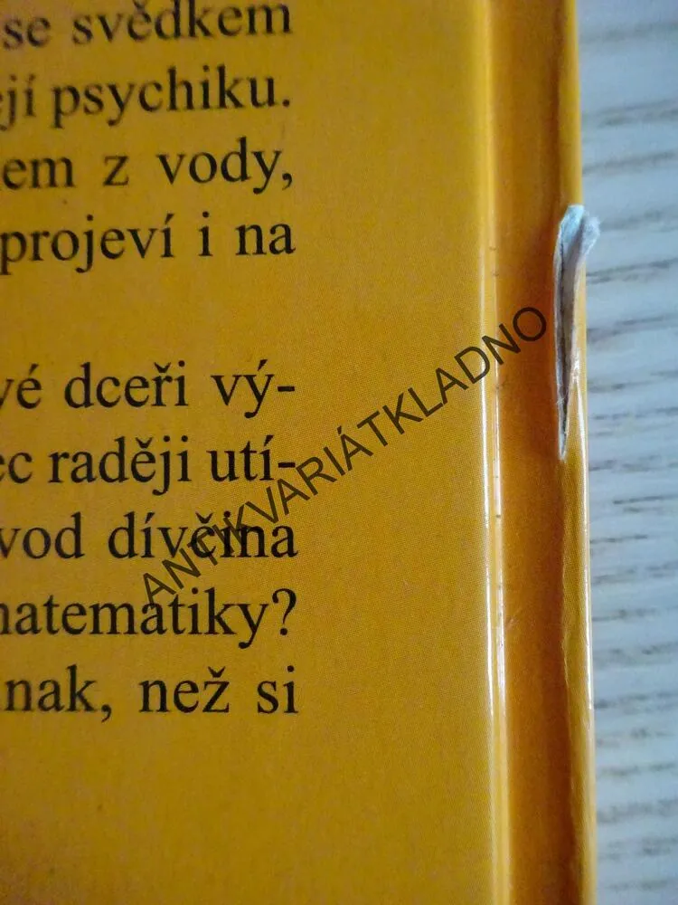 BEZHLAVĚ DO MALÉRU, VĚRA ŘEHÁČKOVÁ, **an