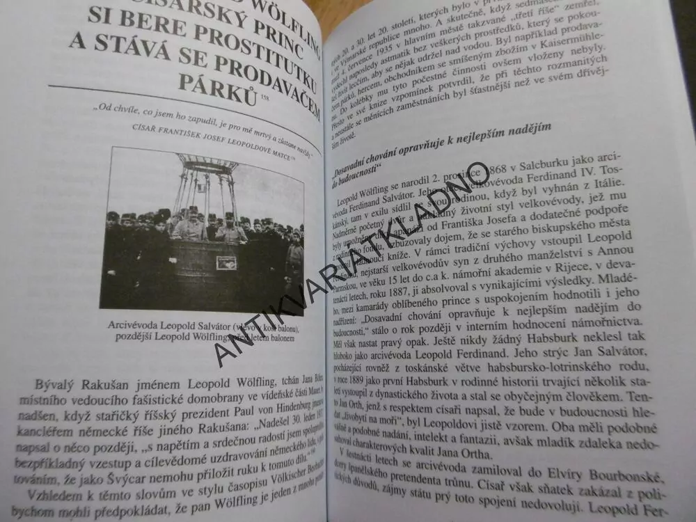 ČERNÉ OVCE MEZI HABSBURKY, VYVRŽENCI, PROSTOPÁŠNÍCI SLAVNÉHO RODU,DICKINGER