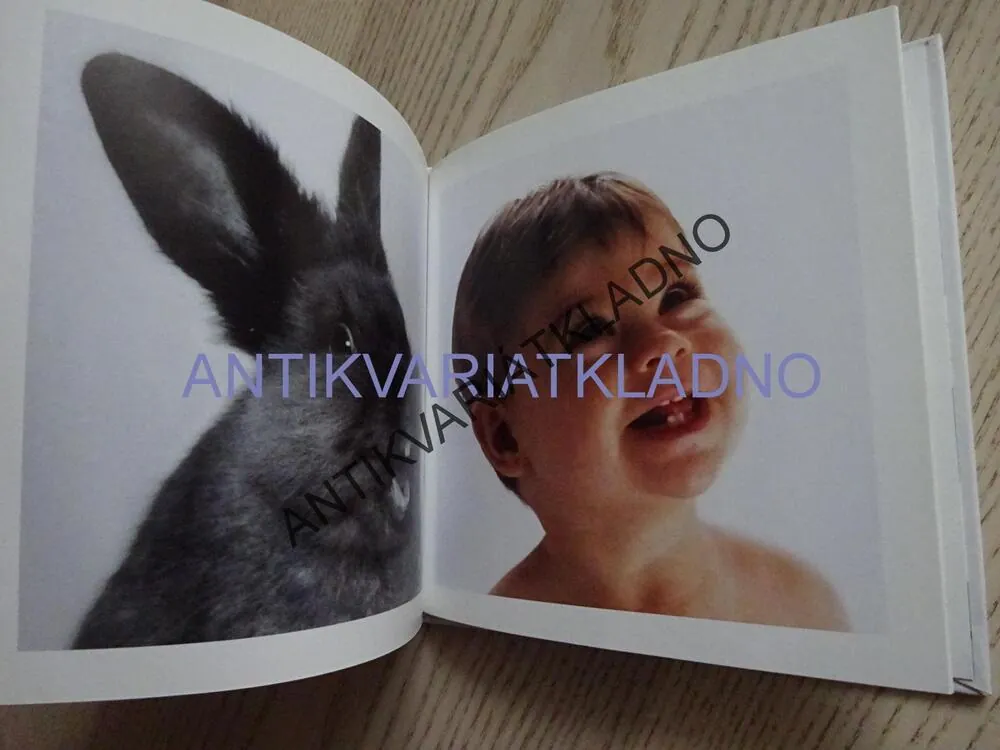 DOBŘÍ PRÁTELÉ, VICKY CEELENOVÁ, **an