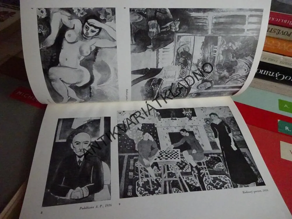 SOUBOR UMĚNÍ - REMBRANDT, MÁNES, ZRZAVÝ, GOYA, MICHELANGELO, MATISSE A DALŠÍ (CELKEM 12 KNIH) **an