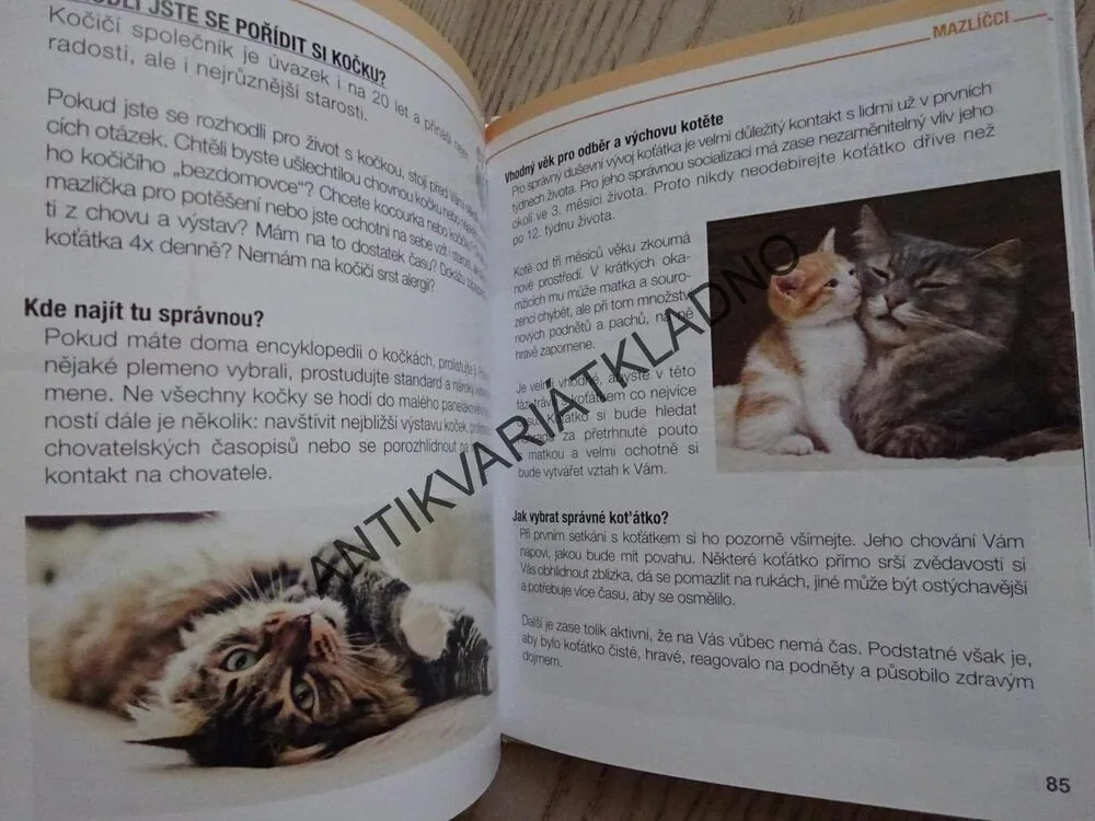 SOS - SOUBOR OSVĚDČENÝCH SUPER TIPŮ, 2, UŽITEČNÝ DOMÁCÍ RÁDCE, **an