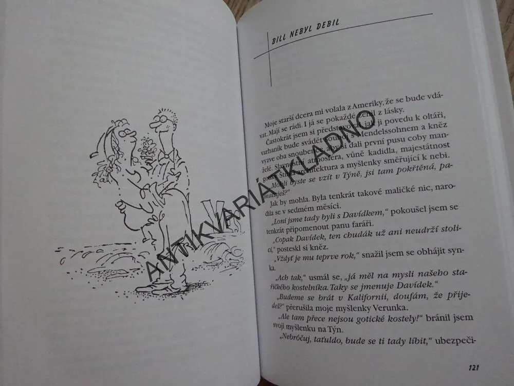 JAK NACHYTAT LELKY, VAŠEK VAŠÁK, **an