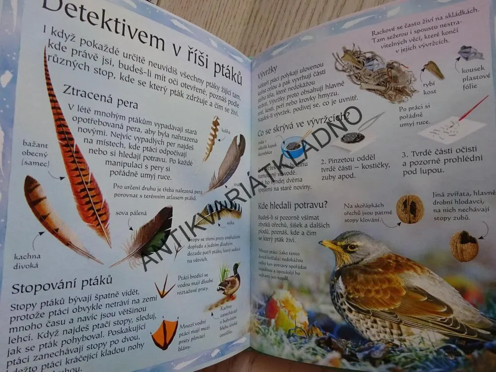 PTÁCI, **an