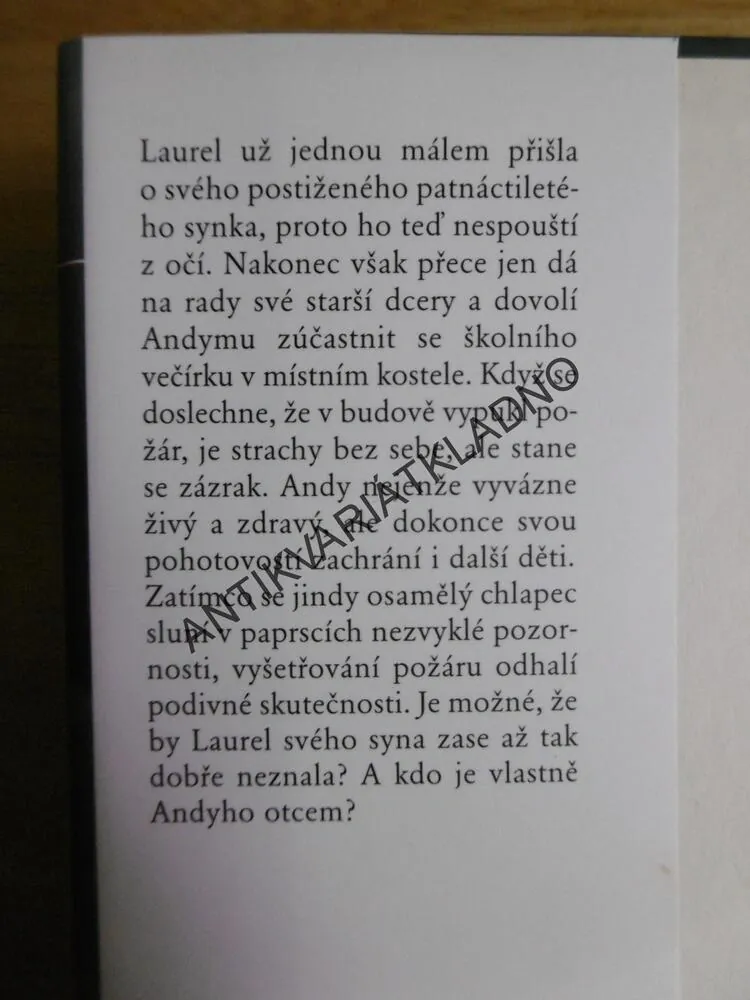 PŘED BOUŘÍ, DIANE CHAMBERLAINOVÁ, **an