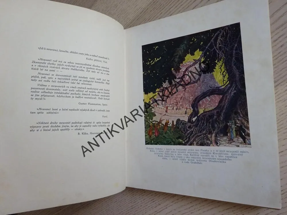 BRATŘÍ MRAVENCI, JOS. HAIS TÝNECKÝ, O. ŠTÁFL, **an