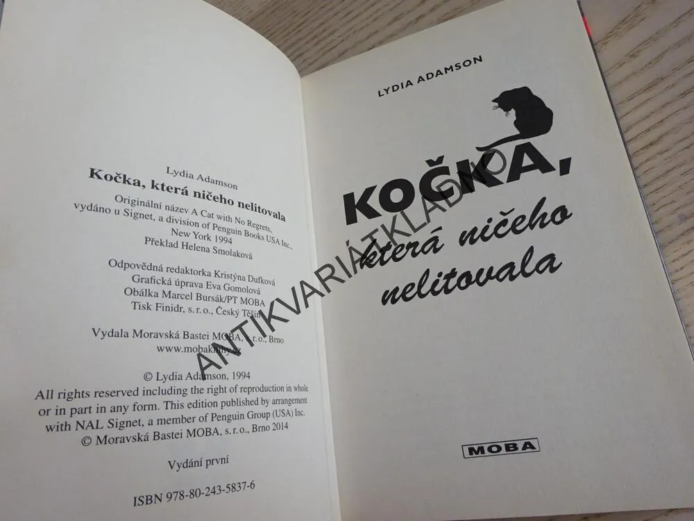 KOČKA, KTERÁ NIČEHO NELITOVALA, LYDIA ADAMSON, **an