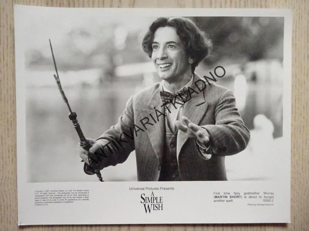 A SIMPLE WISH, JEDNODUCHÉ PŘÁNÍ ,FOTOSKA FILM, LOBBY