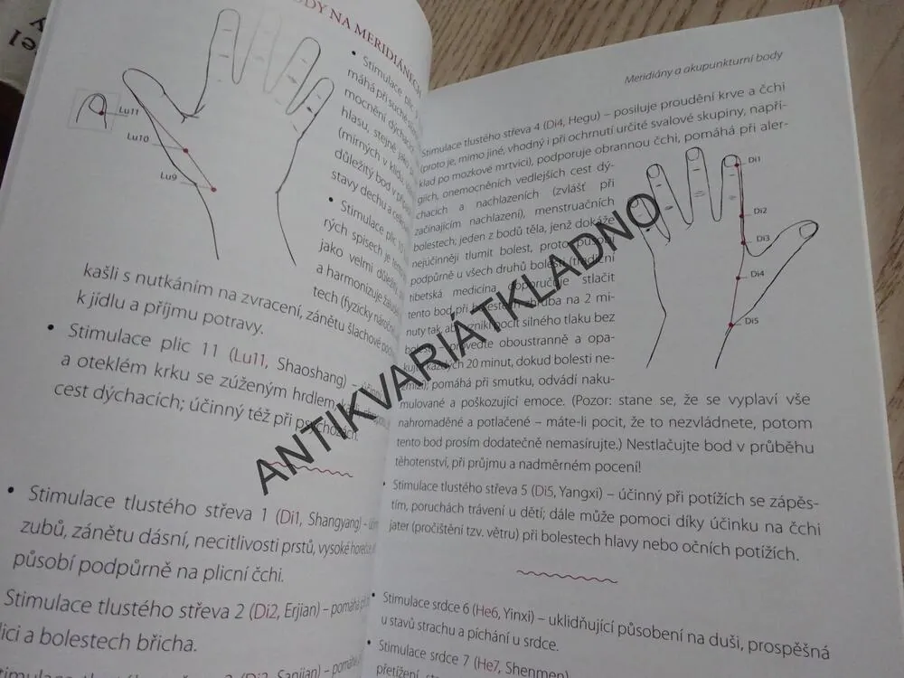 PRSTOVÝ ČCHI-KUNG, BERNADETT GERA, **an