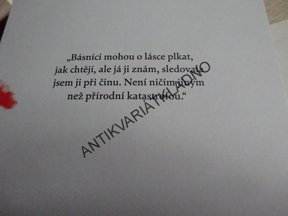 OHNĚ. LÁSKA A JINÉ KATASTROFY, SIGRÍDUR HAGALÍN BJÖRNSDÓTTIR, **an
