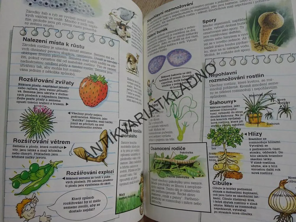 BIOLOGIE 