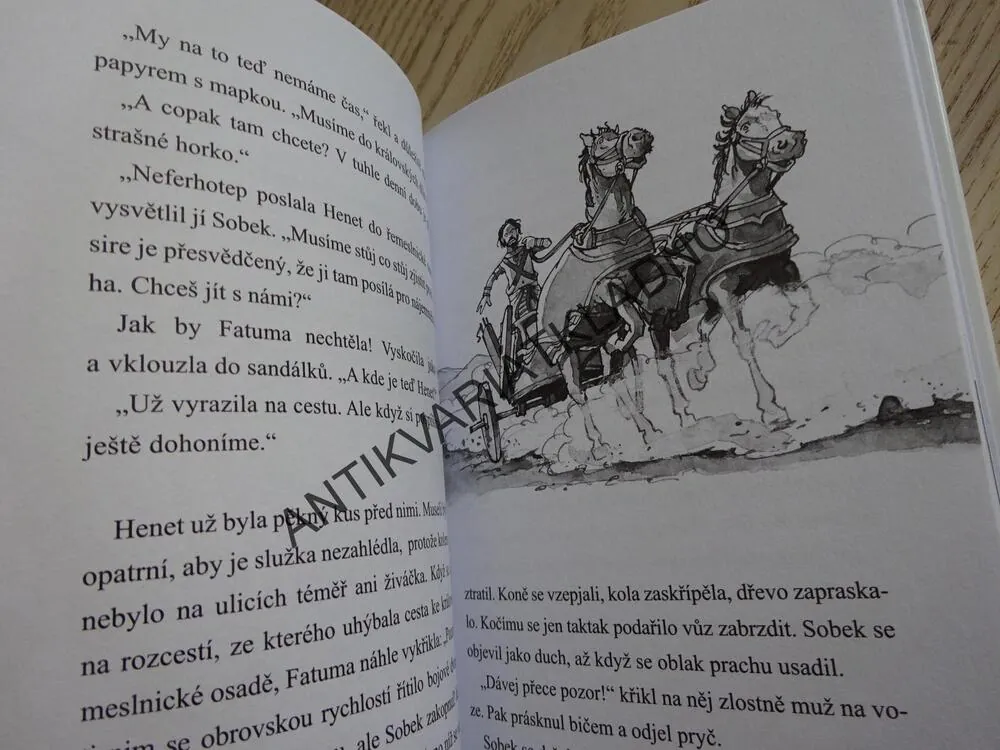 PÁTRÁNÍ NA NILU, ZLOČINU NA STOPĚ, HOLLEROVÁ, **an