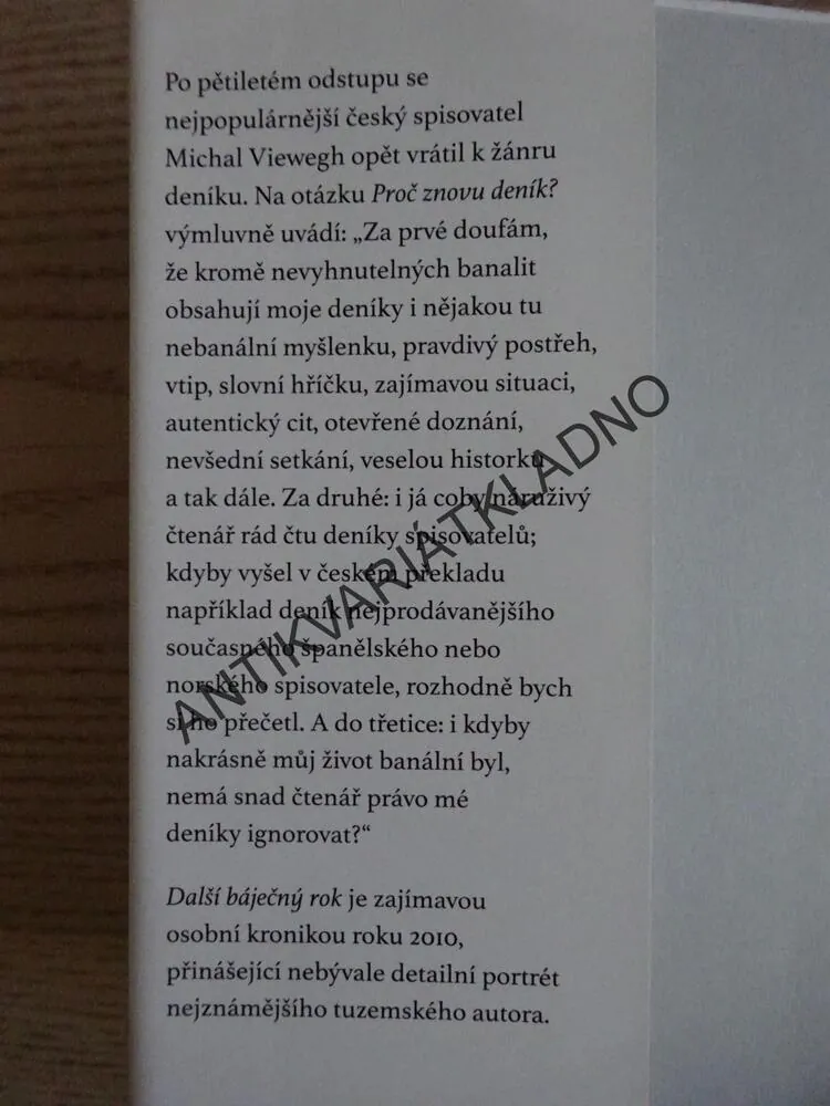 DALŠÍ BÁJEČNÝ ROK, MICHAL VIEWEGH, **an