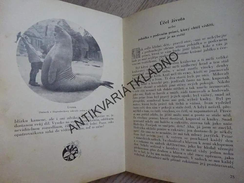 MLADOST-RADOST ANEB DÍTKY NAŠE NADĚJE, FRANTIŠEK FIALA, **an