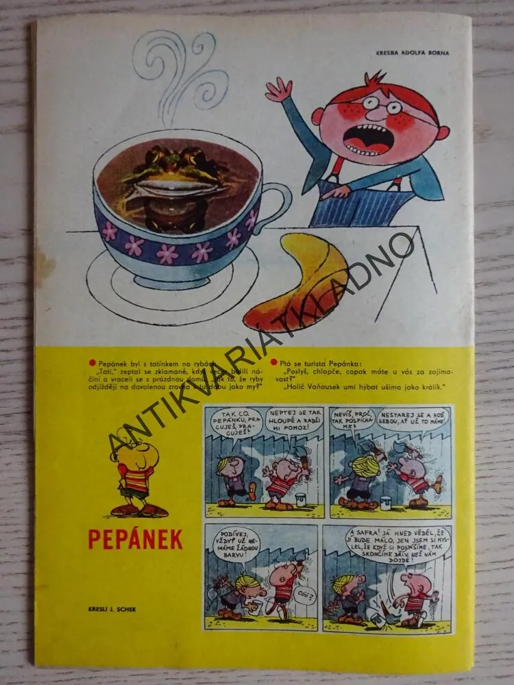 PIONÝR 11/1971, KOMIKS, NEPRAKTA, BURIAN