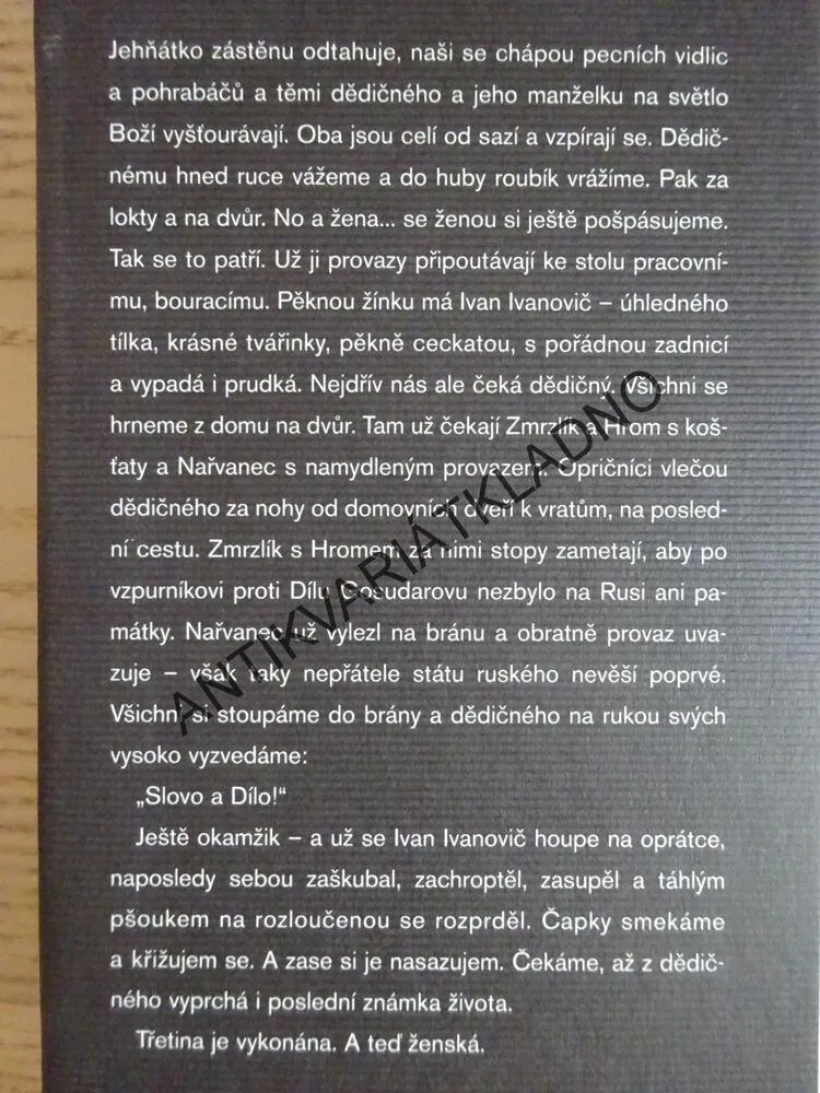 DEN OPRIČNÍKA, VLADIMÍR SOROKIN, **an