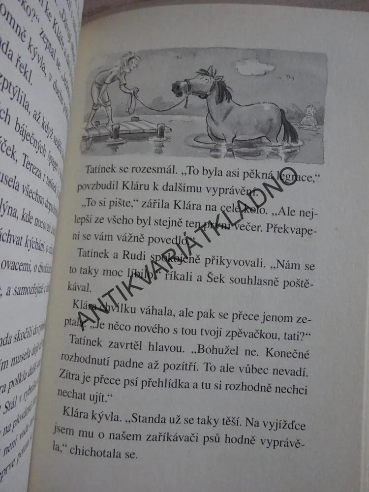 PONÍK NA VÝLETĚ, KLÁRA A DROBEČEK, ANNE BACHNEROVÁ, **an