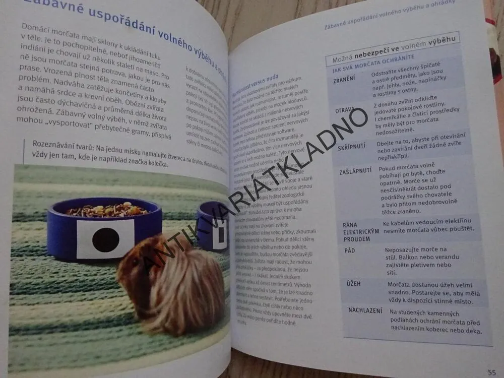 MORČE, IMMANUEL BIRMELIN,**an