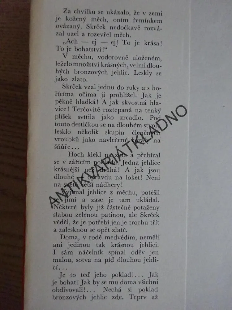 BRONZOVÝ POKLAD, EDUARD ŠTORCH, **an