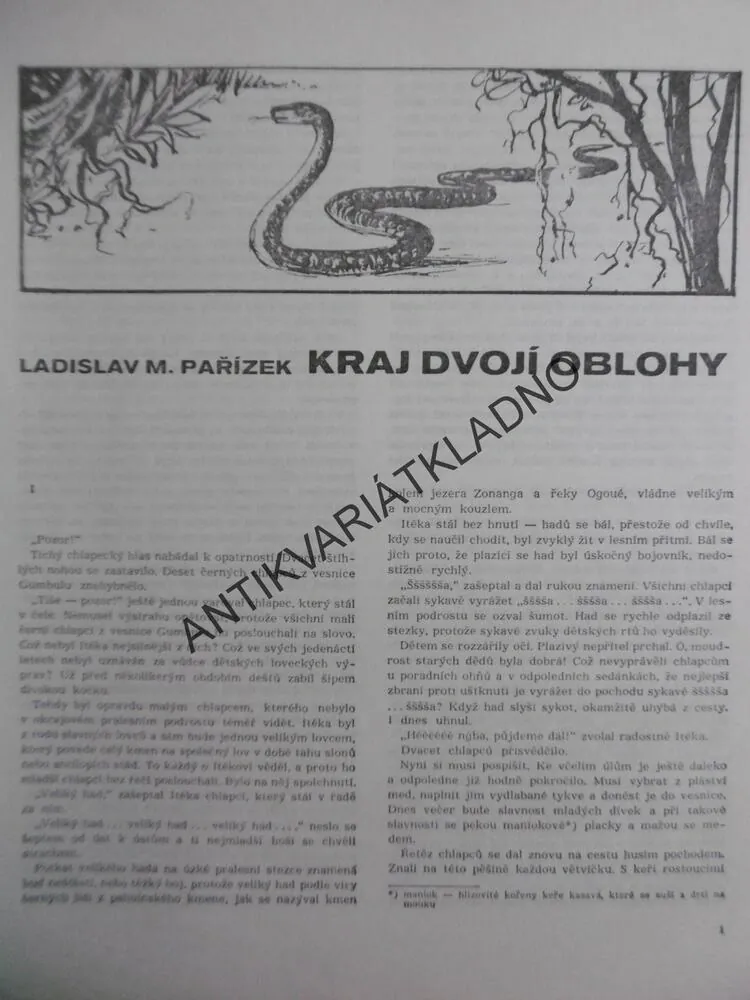 KRAJ DVOJÍ OBLOHY, LADISLAV M.PAŘÍZEK, VÁŠA