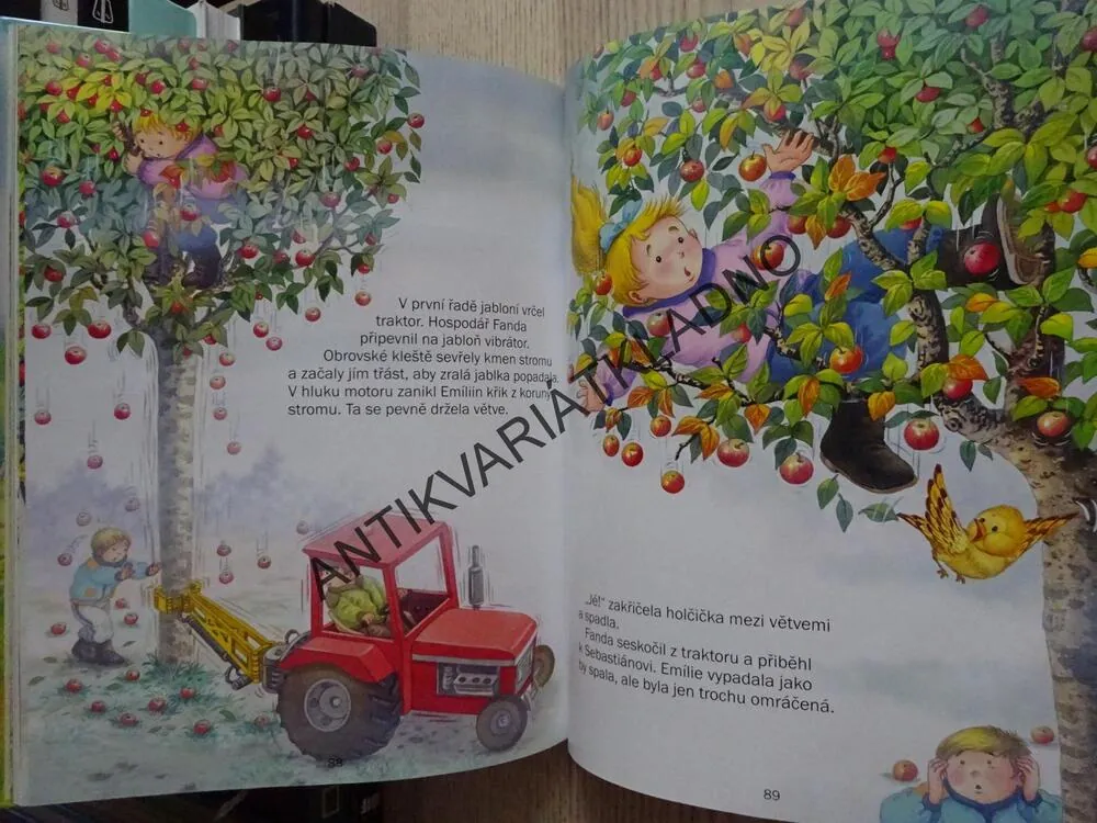 ROK NA STATKU, **an