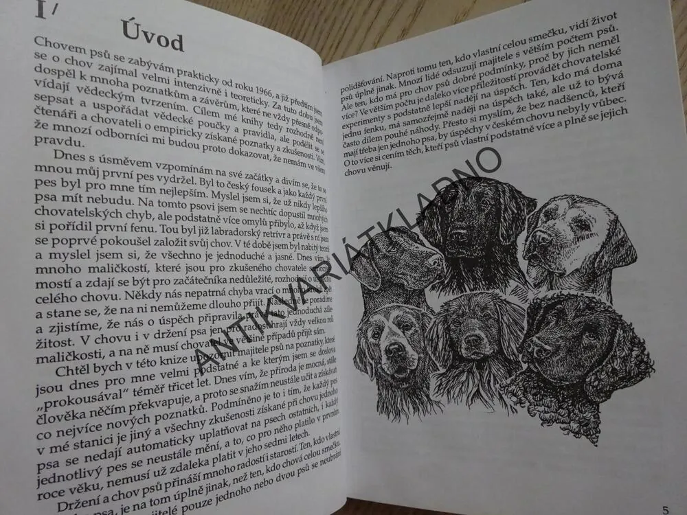 RETRÍVŘI, JAN KUBEŠ, FRANTIŠEK KORDA, CHOVÁME PSY, **an