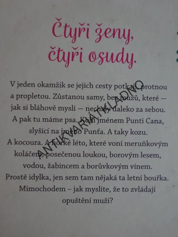 STATEK JE RODU ŽENSKÉHO, JURMANOVÁ, LACHMANOVÁ, TOMŠŮ, VÁGNEROVÁ, **an