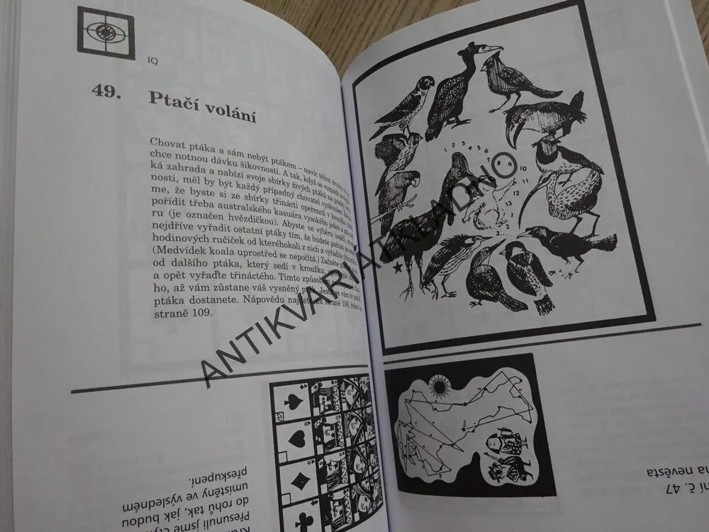 TRÉNINK OBOU POLOVIN MOZKU, DAVID GAMON, ALLEN BRAGDON, **an