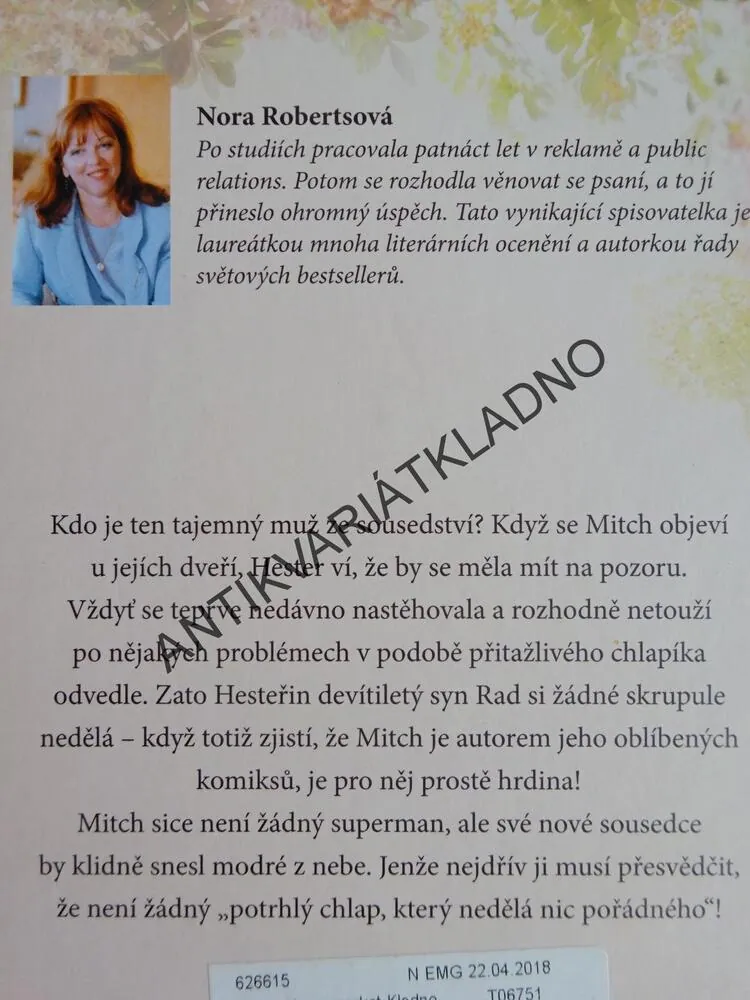 HRDINA ZE SOUSEDSTVÍ, NORA ROBERTS, **an