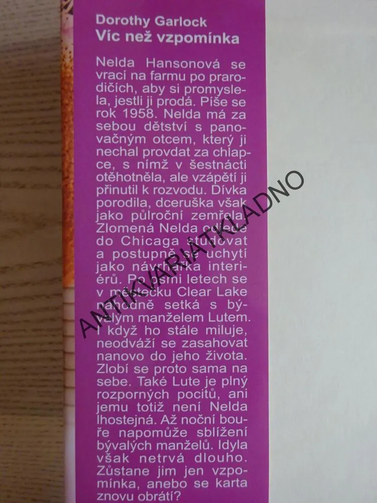 VÍC NEŽ VZPOMÍNKA, DOROTHY GARLOCK, **an