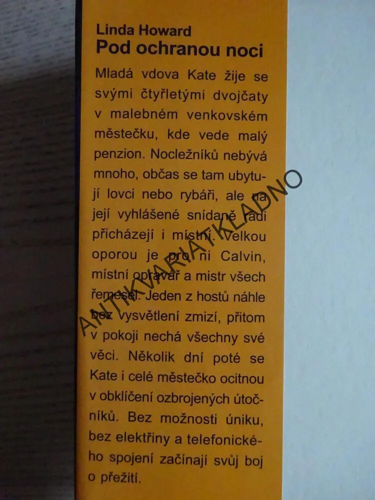 POD OCHRANOU NOCI, LINDA HOWARD, **an