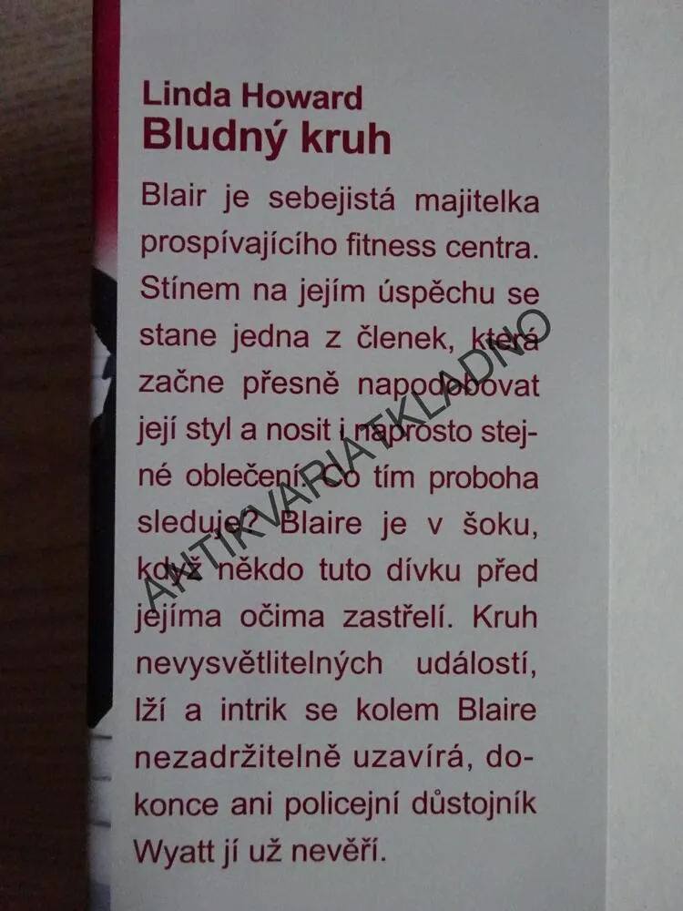 BLUDNÝ KRUH, LINDA HOWARD, **an