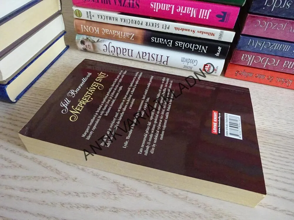 NEPŘESTÁVEJ SNÍT, JILL BARNETTOVÁ, **an