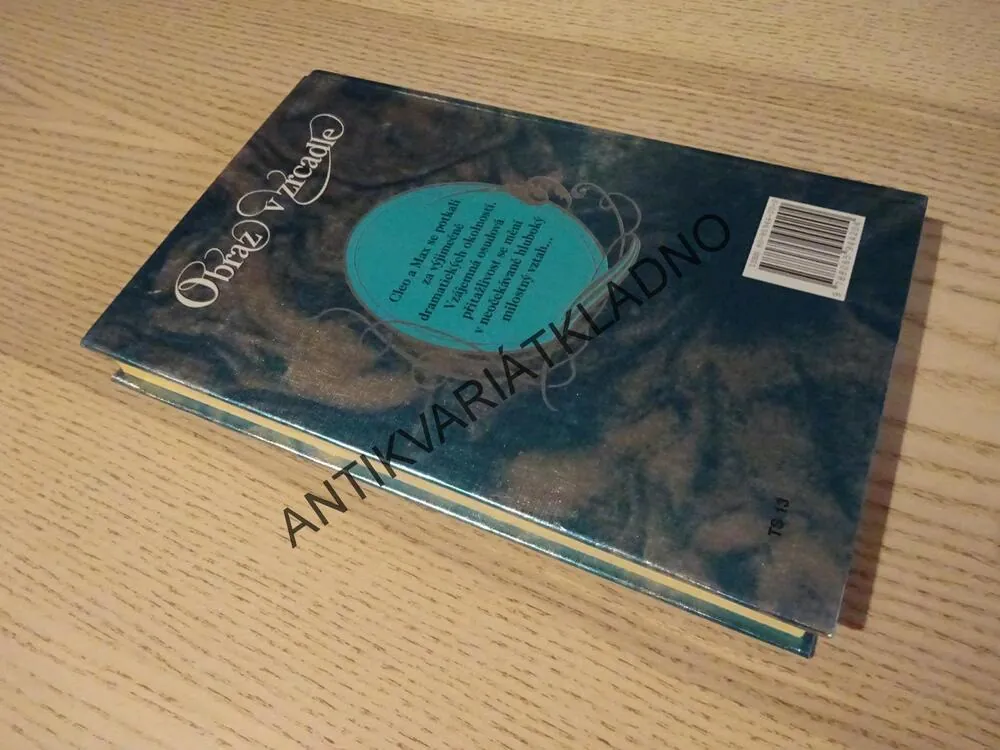 OBRAZ V ZRCADLE, JAYNE ANN KRENTZOVÁ, **an