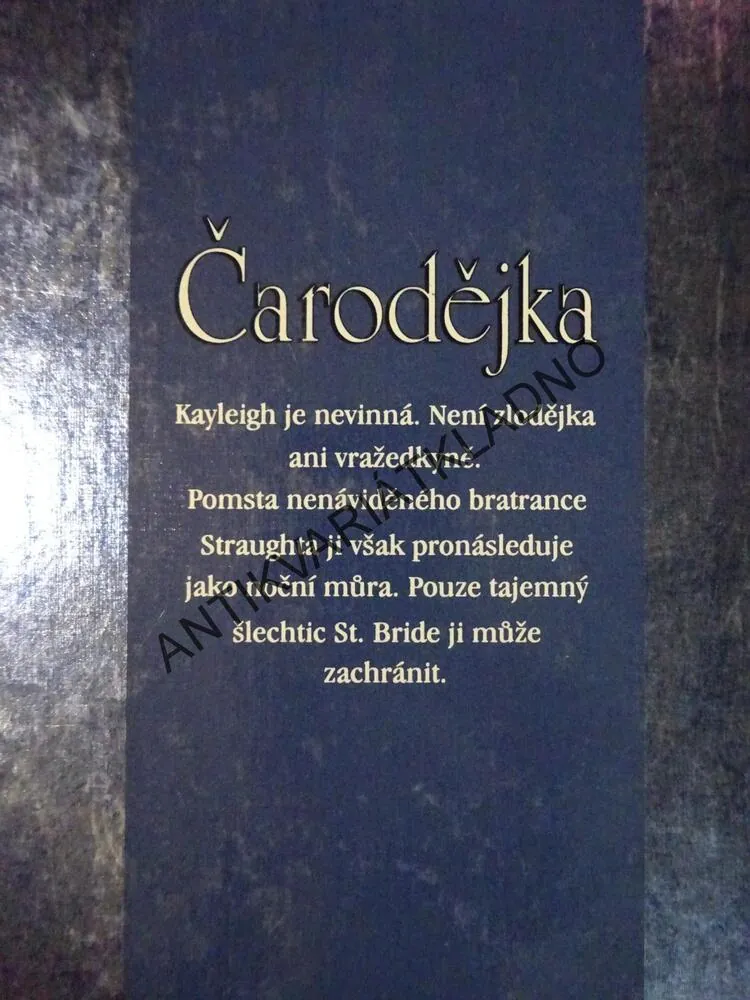 ČARODĚJKA, MEAGAN MCKINNEYOVÁ, **an