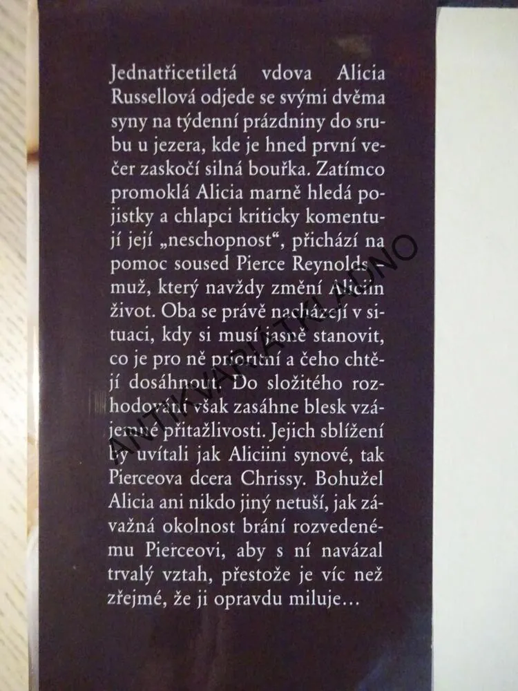 VEČEŘE V HORÁCH, SANDRA BROWN, **an